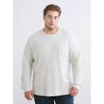 Lcwaıkıkı Classic Bej Büyük Beden Bisiklet Yaka Erkek Sweatshirt