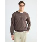 Lcwaıkıkı Classic Kahverengi Bisiklet Yaka Baskılı Erkek Sweatshirt