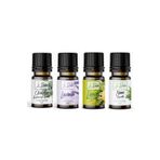 Le Balvo Okaliptus,Lavanta,Limon,Nane Doğal Uçucu Saf Buhurdanlık Esansı Oda Kokusu Esans Buhur Yağı 10ml