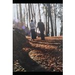 Le chemin du Bonheur