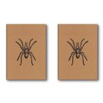 Le Color Kraft Defter Düz Örümcek (2 paketi)