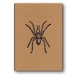 Le Color Kraft Düz Örümcek Defter