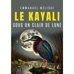 Le kayali sous un clair de lune