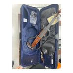 LE MANS Eva-10 Model Profesyonel Elektro Keman Seti-Abanoz Aksamlı Ful Set