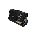 Leader Ap-96 Usb+fm+mikrofon Giriş Mevlüt Anfisi Ses Sistemi