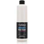 Leaf Shop Ambiante Suya Dayanıklı Akrilik Boya Aw-04 Antik Beyaz 500ML + Katalizör 20GR