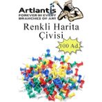 Leaf Shop Harita Çivisi 100'LÜ 1 Paket Mantar Pano Raptiyesi Pano Iğnesi Ofis Okul Büro
