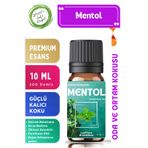 LeafFlora AromaHome Mentol - Esansiyel Koku Yağı 10 ML - Oda ve Ortam Kokusu