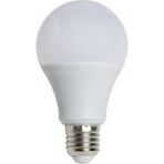 LED Ampul 10 W (12-24)V