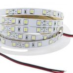 Led Serıt Sılıkonlu 4040/60 Mavı 12V Dc [ 5 Mt Makara Fıyatıdır]