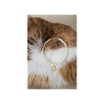 Le&da Accessory İncili, Kararmaz Kaliteli Gold Çelik Zincir, Kedi Tasması, Kedi Kolyesi, Deniz Kabuğu Uç - Beyaz