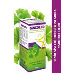 LedaPharma Ginkoled Biloba B1, B2, B3, B5 B6, B12 Içeren Sıvı Takviye Edici Gıda 86814DermoExperss