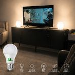 Ledarmy Cata CT-4266 12W LED Ampul 6400K Soğuk Beyaz Işık Enerji Tasarruflu Uzun Ömürlü E27 - 10 - 20 W