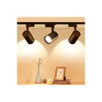 lediste 1 Metre Ray 3 Adet Ray Spot Set Siyah Kasa Günışığı Renk 20 W Dekoratif Spot