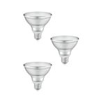 Ledvance 10W (75W) Par30 Dim Edilebilir Led Ampul Sarı - 3 Adet Işığı Kısılabilir Lamba