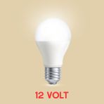 LEDX 12V (Volt) 10W Beyaz LED Ampul – Karavan, Tekne, Araç İçi ve Kamp Aydınlatması İçin Uyumlu LED Lamba
