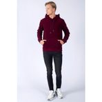 Lee Cooper Zebrar Erkek Sweatshırt Bordo