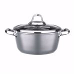 Leggno Master Gri 24 cm Titanium Tencere