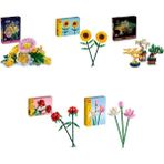 Lego 10347 + 40524 + 10373 + 40460 + 40647 Botanicals Seti 354