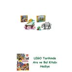 Lego 31148 + 31171 Creator Seti 43