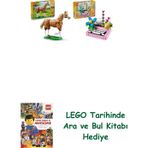 Lego 31166 + 31169 Creator Seti 37