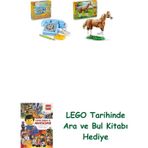 Lego 31174 + 31166 Creator Seti 51