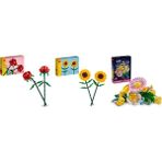 Lego 40460 + 40524 + 10347 Botanicals Seti 161