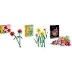 Lego 40460 + 40747 + 10342 Botanicals Seti 156