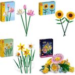 Lego 40647 + 40524 + 40747 + 10347 Botanicals Seti 248