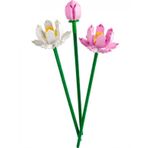 Lego 40647 Iconic Lotus Çiçekleri