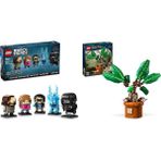 Lego 40677 + 76433 Harry Potter Seti 4