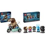 Lego 76443 + 40677 Harry Potter Seti 39