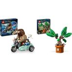 Lego 76443 + 76433 Harry Potter Seti 11