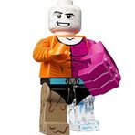 Lego Dc Super Heroes 71026-12 Metamorpho Minifigür