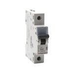 Legrand 403208 Monofaze 1X40A 4.5ka 40 A B Tipi Otomatik Sigorta