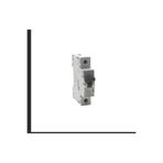 Legrand ekim aydınlatma MONOFAZE 1P* B16 OTOMATİK SİGORTA W OTOMAT