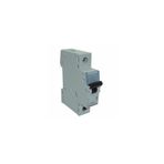 Legrand Monofaze 1X20A B Tipi Otomatik Sigorta 4,5ka