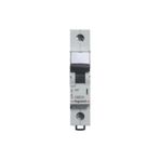 Legrand Otomatik Sigorta 10 A B Tipi 1 Kutup
