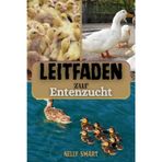 Leitfaden zur Entenzucht: 10 bewährte Schritte, um gesunde Enten zu züchten, die Eierproduktion zu steigern und den Gewinn zu maximieren.