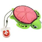 LEIZHAN 32 GB USB-Stick Yüksek Hızlı Silikon Hafıza Çubuğu Çizgi Film Bellek Çubuğu Flaşlı Kalem Sürücü Dizüstü Bilgisayar PC Windows (32 GB, Pembe Kaplumbağa)