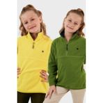 Lela Yumuşak Dokulu Fermuarlı Dik Yaka Şardonlu 2'li Paket Polar Çocuk Polar 5905002S2 - Yeşil - Sarı - 13 - 14 Yaş