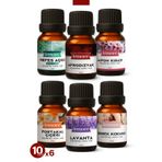 Lemore 6'lı Set 1 Esansiyel Uçucu Yağ Buhurdanlık Yağı Hava Nemlendirici Aroma Difüzörü Kokusu Esans 10ml S