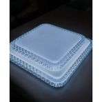 Lena Teknik Leday Sıva Üstü LED Panel 24W Dekoratif Armatür Çift Kristal(Beyaz Işık 6500K) 33X33