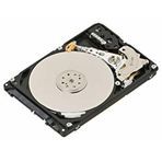 Lenovo 7XB7A00024 300GB SAS Hard Disk