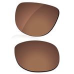 LenzReborn Ray-Ban RB4147-60 Sunglass ile Uyumlu Polarize Lens Değiştirme - Daha Fazla Seçenek, Pas Kahverengi - Polarize, One Size