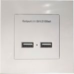 Leonpro USB Priz Duvar Tipi Kasalı USB Priz Sıva Üstü 5V 2A Çift Usb'li Priz - 1 Adet