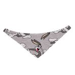 Lepus Fularlı Köpek Boyun Tasması No:1 Small