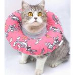 Lepus Pembe Small No:6 Kedi Köpek Yakalık