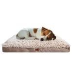Lepus Pophidic Cushion Small Köpek Yatağı