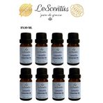 lescentus Favori Set Lavanta Esansiyel Uçucu Koku Yağı Buhurdanlık Difüzör Hobi Esansı Oda Ortam Kokusu 8X10ml